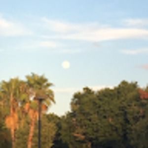 Meet your Posher, Josh